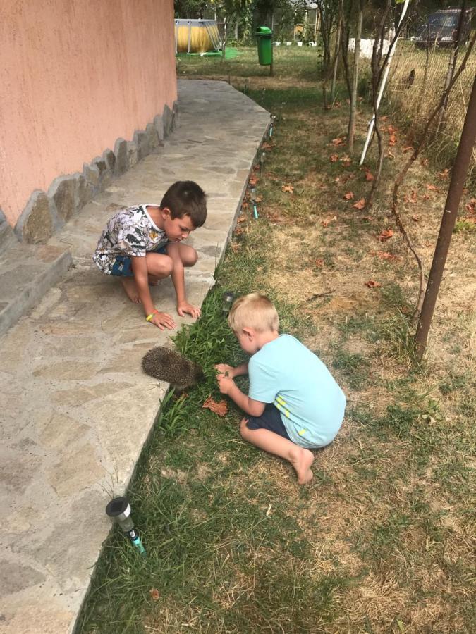 Стаи За Гости Тони ريباريكا المظهر الخارجي الصورة